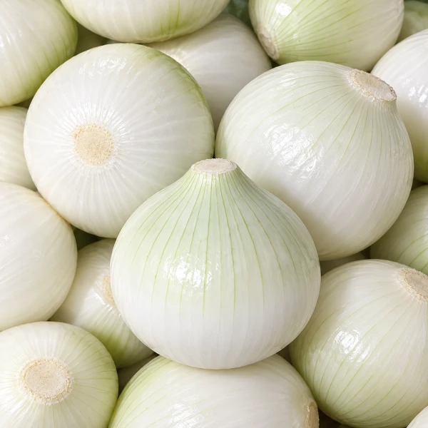 깐양파